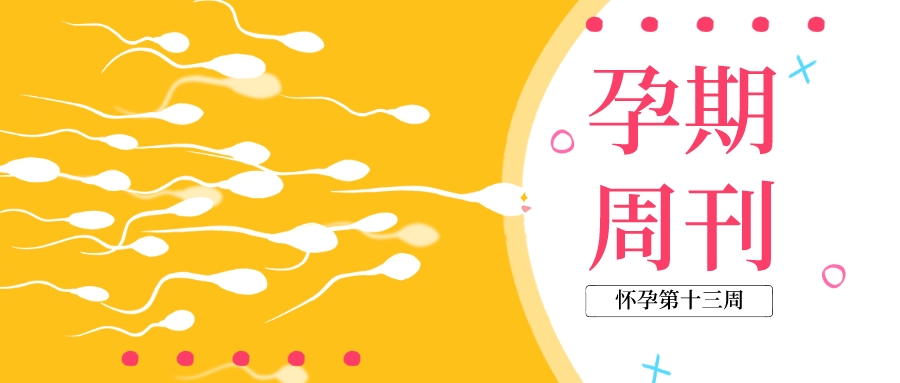 孕期周刊 ▎懷孕“第十三周”注意事(shì)項